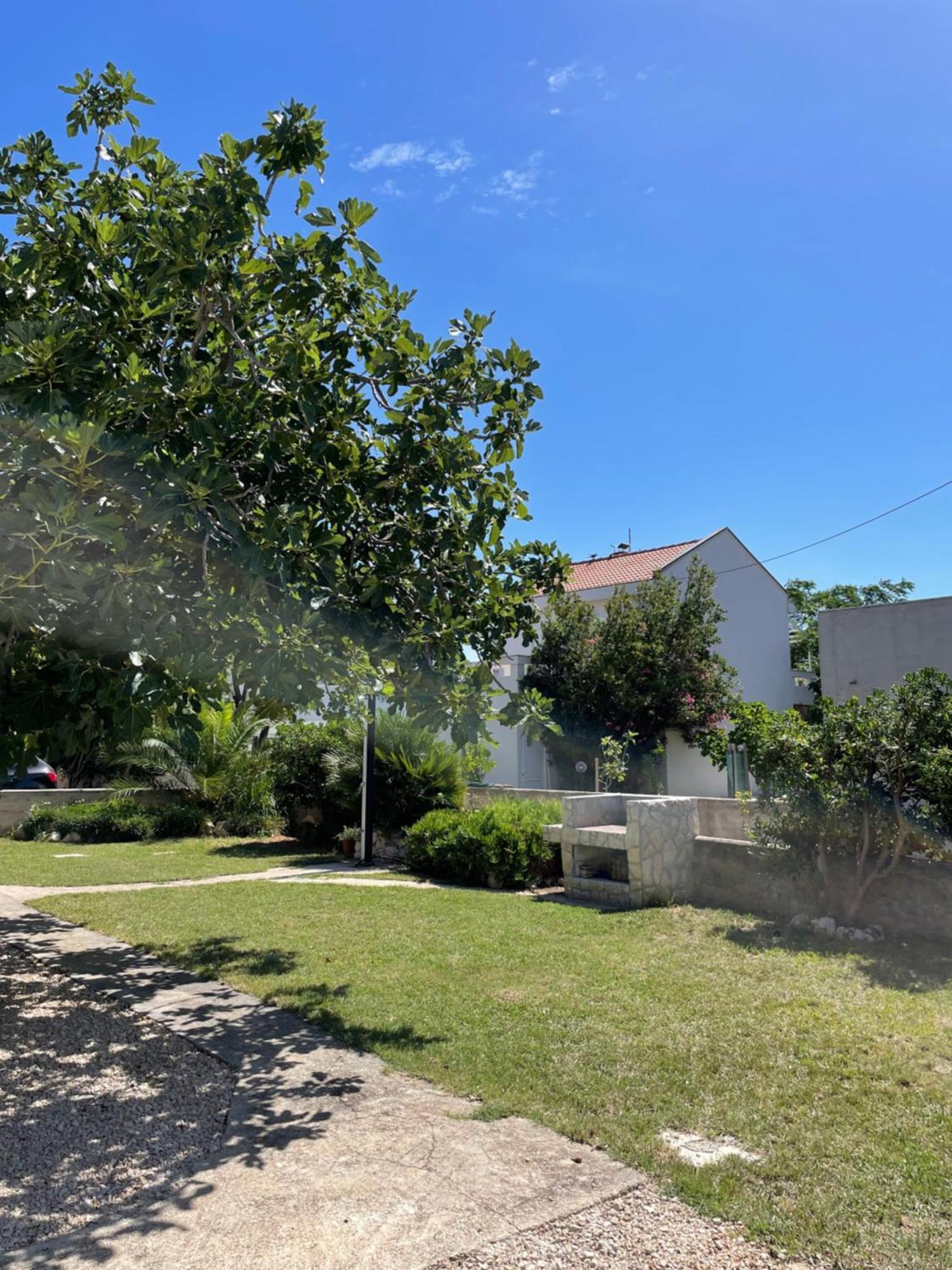 Apartamento House Susec Povljana Exterior foto